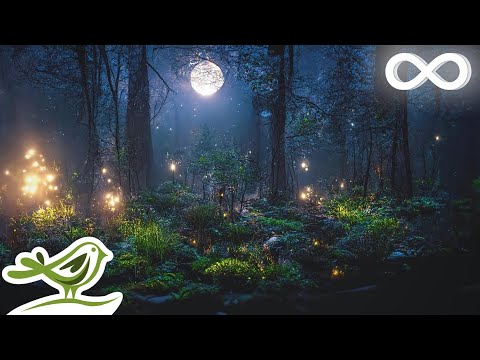 Drifting Off: Calm Ambient Music for Deep Sleep, Meditation & Relaxation