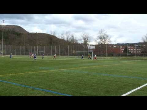 Tor Fabian Salfinger