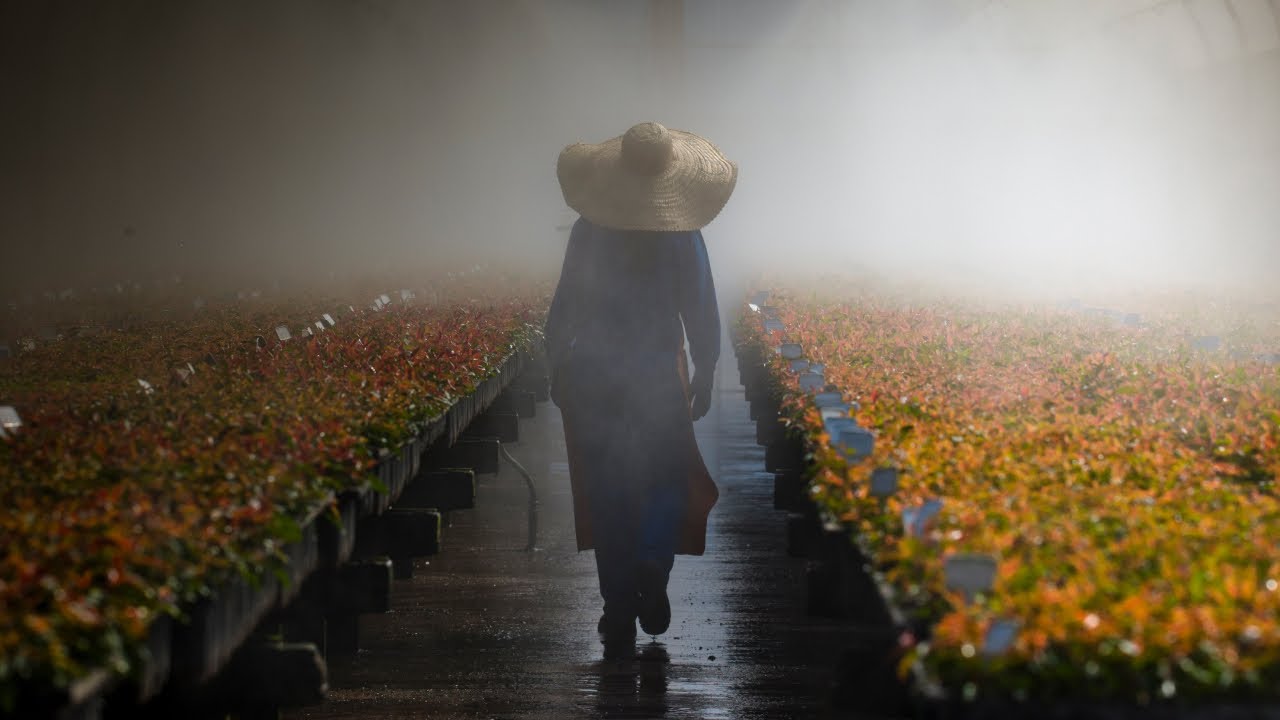 RGE streamlines talent management and career development with Workday