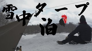 【Daytrip tarp】雪中タープ泊したら最高だった【雪中キャンプ】