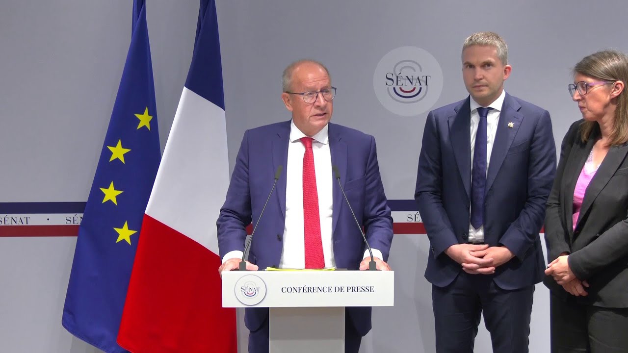 Marchés publics : un rapport sénatorial dénonce un « recours massif » de l’Etat aux GAFAM - Public Sénat