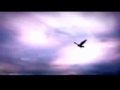 Sugarcult - Counting Stars (Traducida al Español ...