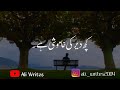 Kuch Der Kee Khamoshi Hein WhatsApp Status Ali Writes