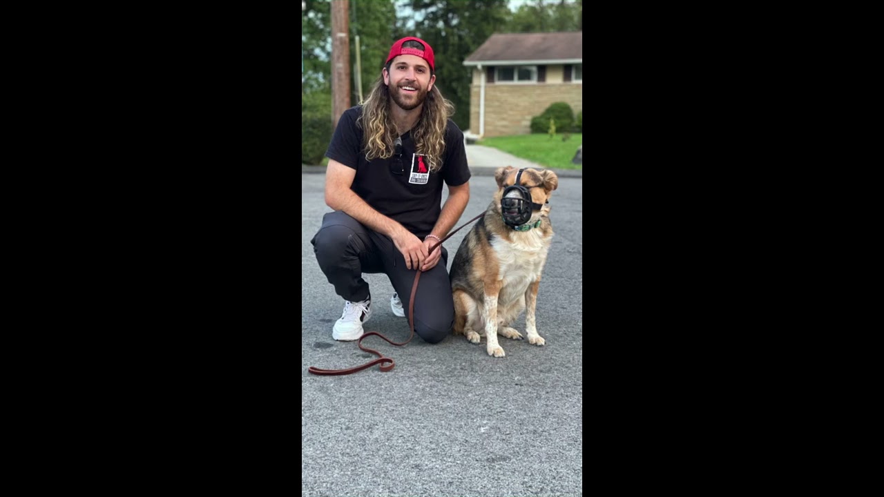 Training a Reactive and Biting Aussie Shepherd
