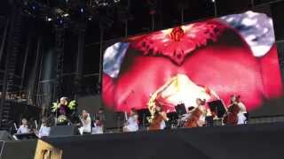 #björk - family (live) #GovBallNYC