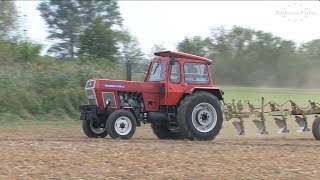 7. Pflügen der Axiener Bulldog-Freunde - 5/5 - Historic Tractor Rally
