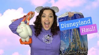 AMAZING Disneyland Haul!! Including the Baymax sipper cup!!