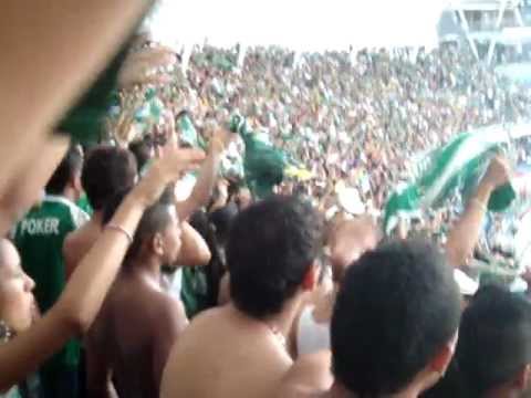 "La que si va perdiendo sigue ALENTANDO... Porque a pesar de todo, te sigo AMANDO!" Barra: Frente Radical Verdiblanco &bull; Club: Deportivo Cali