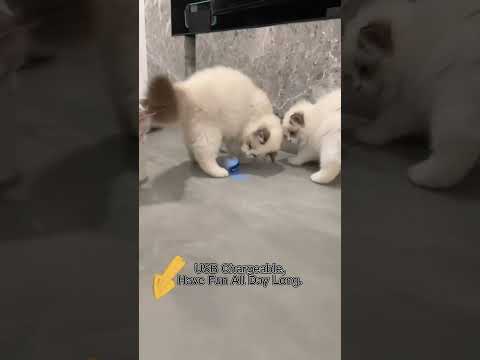 FOFOS Magic ball - Grizo Belgium