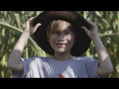 Darrell Scott - It's A Great Day To Be Alive (Official Music Video)