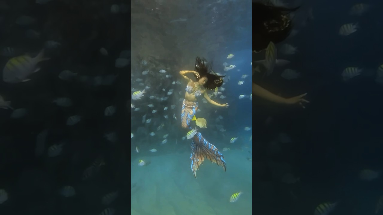 Enchanting Mermaids World 🧜‍♀️