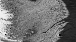 island people // distance 7