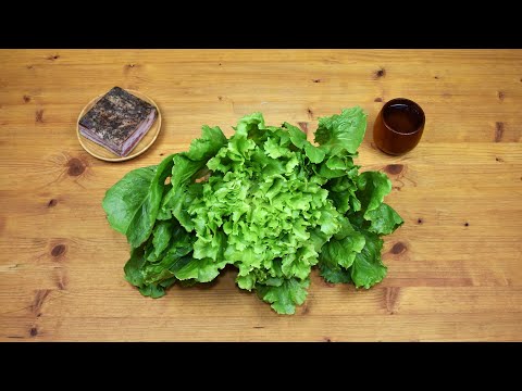 The Diet of the Franks - Endive and Pork Jowl