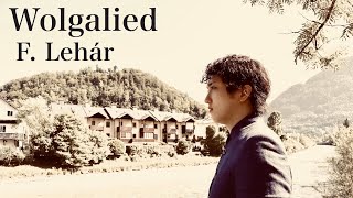 Download lagu 【オペレッタ】Wolgalied - Lehár ヴォルガの歌 / レハール作曲【ロシアの皇太子】 mp3