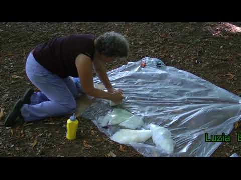 2013 dl 3 Kunst in 't Overbosch