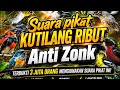 Mp3 Suara Pikat Burung Kecil Ampuh Kombinasi Kutilang Ribut Bird Trap Sound
