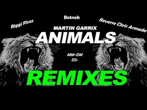 Martin Garrix-Animals(Riggi Piros / Botnek / Reverse Chris Armada) (DM-MM DJs)mp4-1-