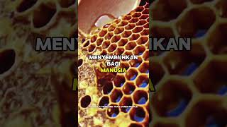 Download lagu Surat An-Nahl Ayat 69#alquran #ayattentangmadu #jalanyanglurus mp3