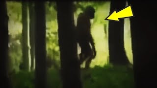 5 Humanoids Caught On Camera & Spotted In Real Life!