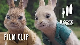 PETER RABBIT Film Clip -  Look Away  (In Theaters 