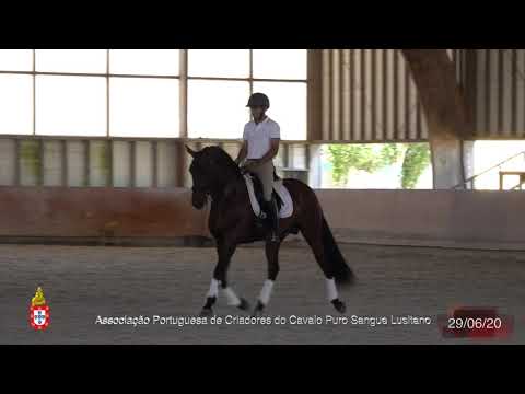 3 Garimpeiro por Sebastião Campaniço - Criador João Pedro Rodrigues