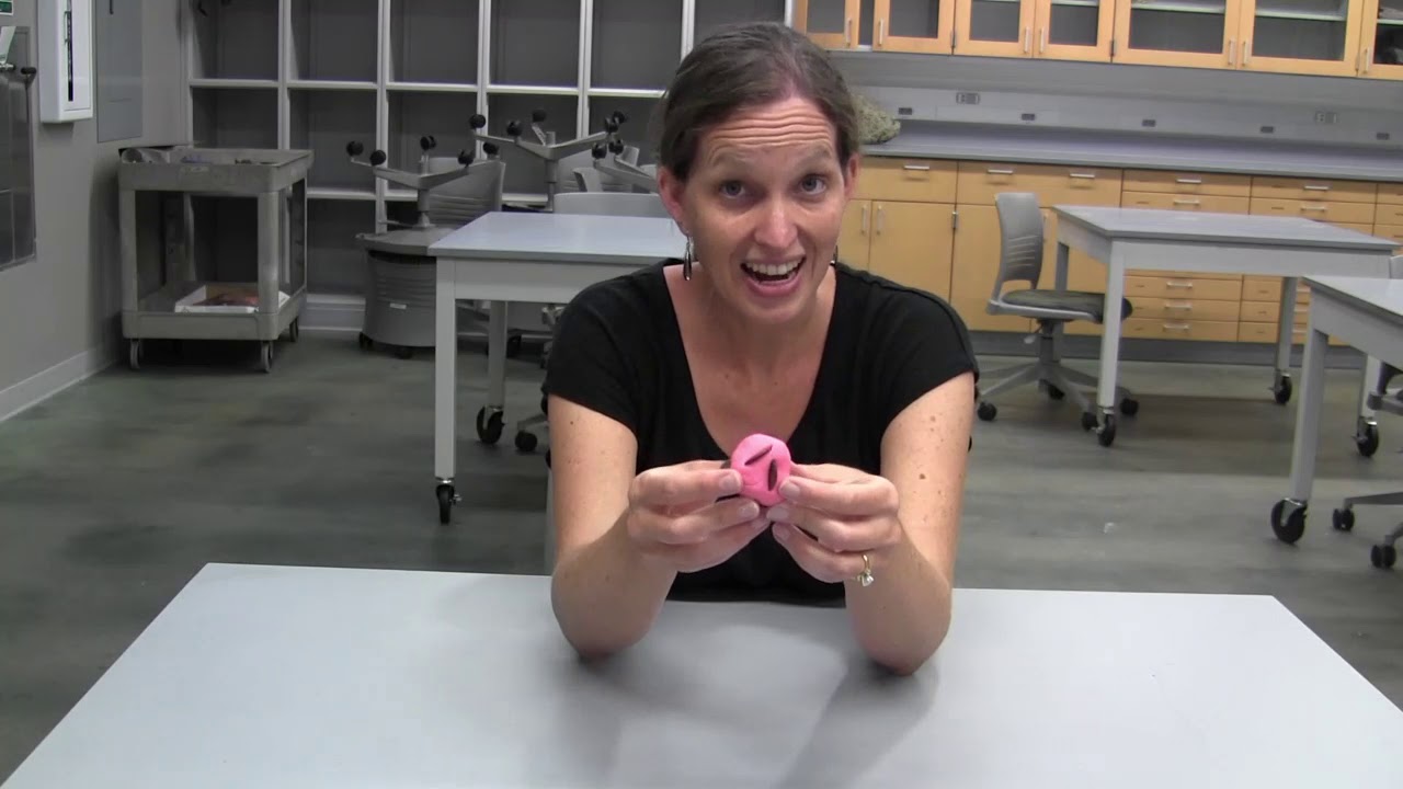 Foliation in Metamorphic Rocks Demonstration