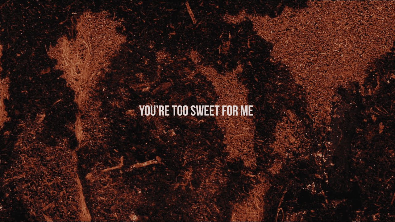 Hozier - Too Sweet