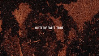 Bài hát Too Sweet - Nghệ sĩ trình bày Hozier