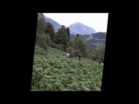 How Far Shall WE Take You -MassCypher-feat Don Jaun