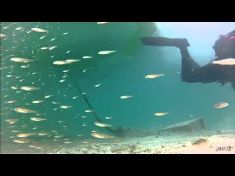 Weissensee - Fischsuppe, Weissensee Ostufer,Einstieg Dive World,Österreich