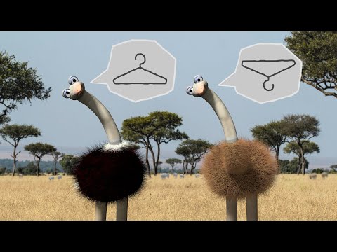 Savanna version - Dressed Up