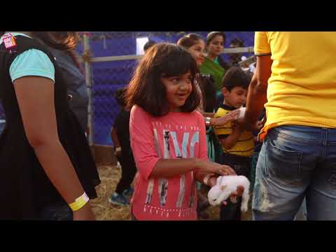 WindMill Festival 2017