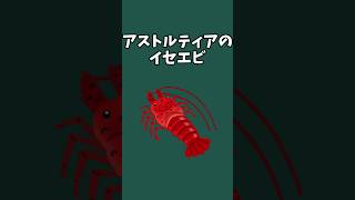 【ドラクエ解説】イセエビの「イセ」とは何なのか考察【ドラクエ10】