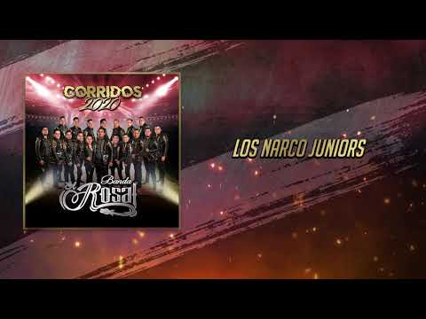 Banda El Rosal - Los Narco Juniors (Audio)