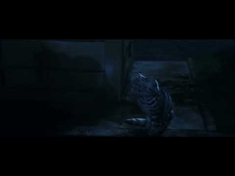 Cat Turns Into Mcgonagall | Mcgonall Transfiguration | Harry Potter and the Philosopher's Stone