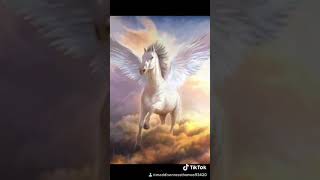 Download lagu My 1st tick - tock video Pegasus and unicorns 🦄 pictures! mp3