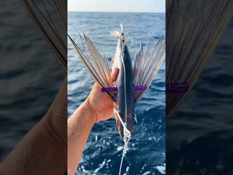 Using FLYING Fish as Bait #fishing #shorts