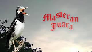 Download lagu Terapi Jalak Suren Anti Stress dan Bisa Cepat Gacor mp3 Download lagu Terapi Jalak Suren Anti Stress dan Bisa Cepat Gacor mp3