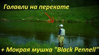 Мокрые мушки для ловли голавля