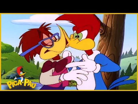Capa de Pica-Pau em Português | Sabia Natureza | Compilação De 1 Hora | Desenhos Antigos