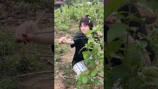 Download lagu Masteran burung viral lucu bikin ngakak hiburan warga 62 funny videos #funny #shorts #viral mp3