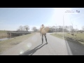 Start to Skate oefening 1.4: Afzet op het rechte eind