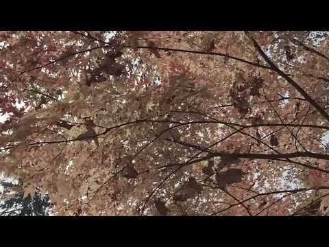 3 минуты назад