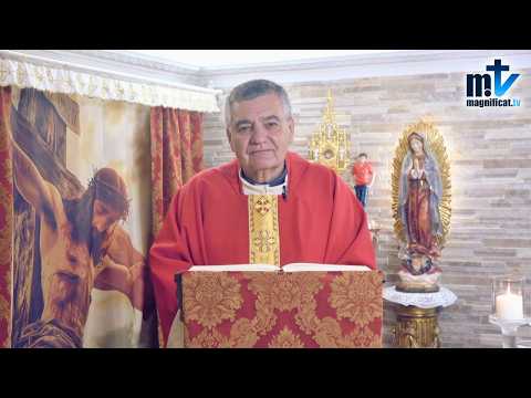 "El Señor ha venido a salvarnos a nosotros, pecadores" | Homilía, Fiesta de San Mateo, Apóstol y Evangelista (21-09-2026) | P. Santiago Martín, FM