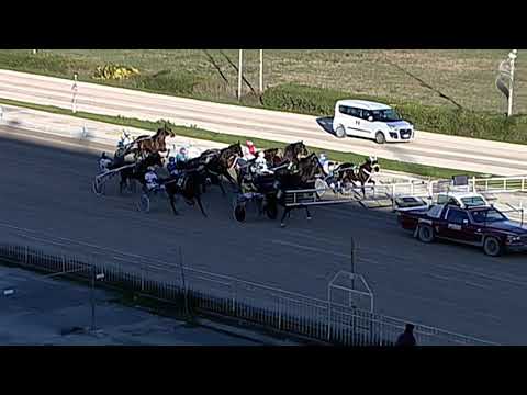 Aversa trotto 18 Dicembre 2021 - 1° Corsa