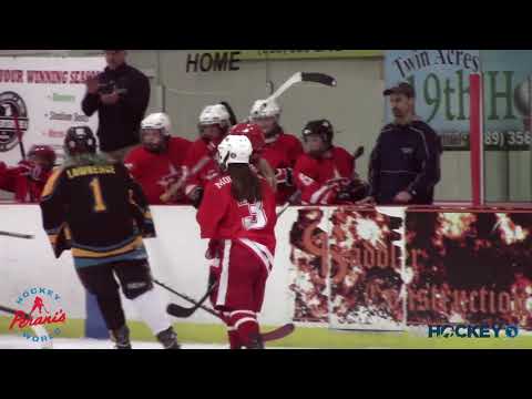 2018 MAHA Girls' 12U Tier 3 State Championship (Traverse City vs. Troy)