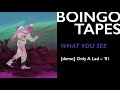 What You See (Demo) – Oingo Boingo | Only A Lad