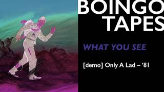 What You See (Demo) – Oingo Boingo | Only A Lad
