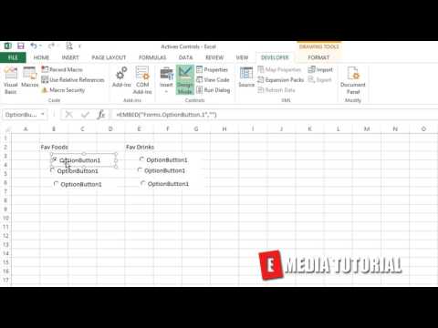 Microsoft Excel Visual Basic for Aplications  VBA  Tutorial 35    Option Buttons Intro   What is an