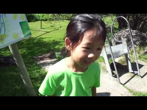 サマースクール体験談 6歳の小学生【スイス留学.com】